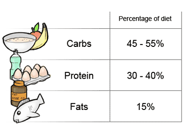 Boxing Diet