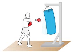 Bag Training Bag Training